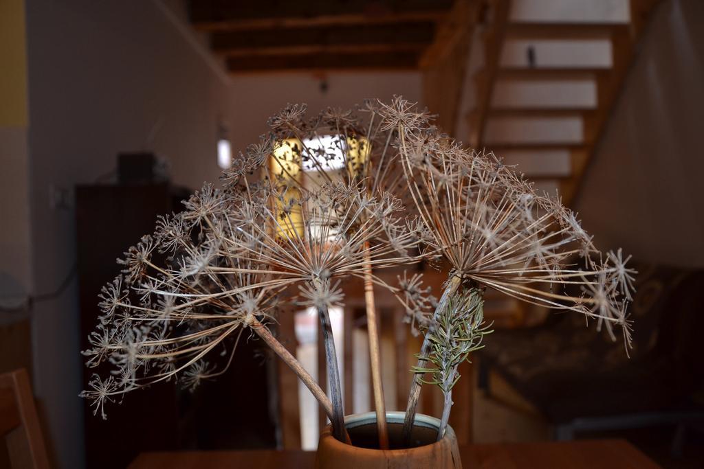Robidisce Holiday Farmhouse Skvor מראה חיצוני תמונה